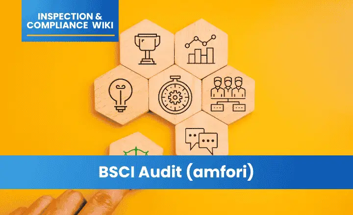 BSCI Audit (amfori)